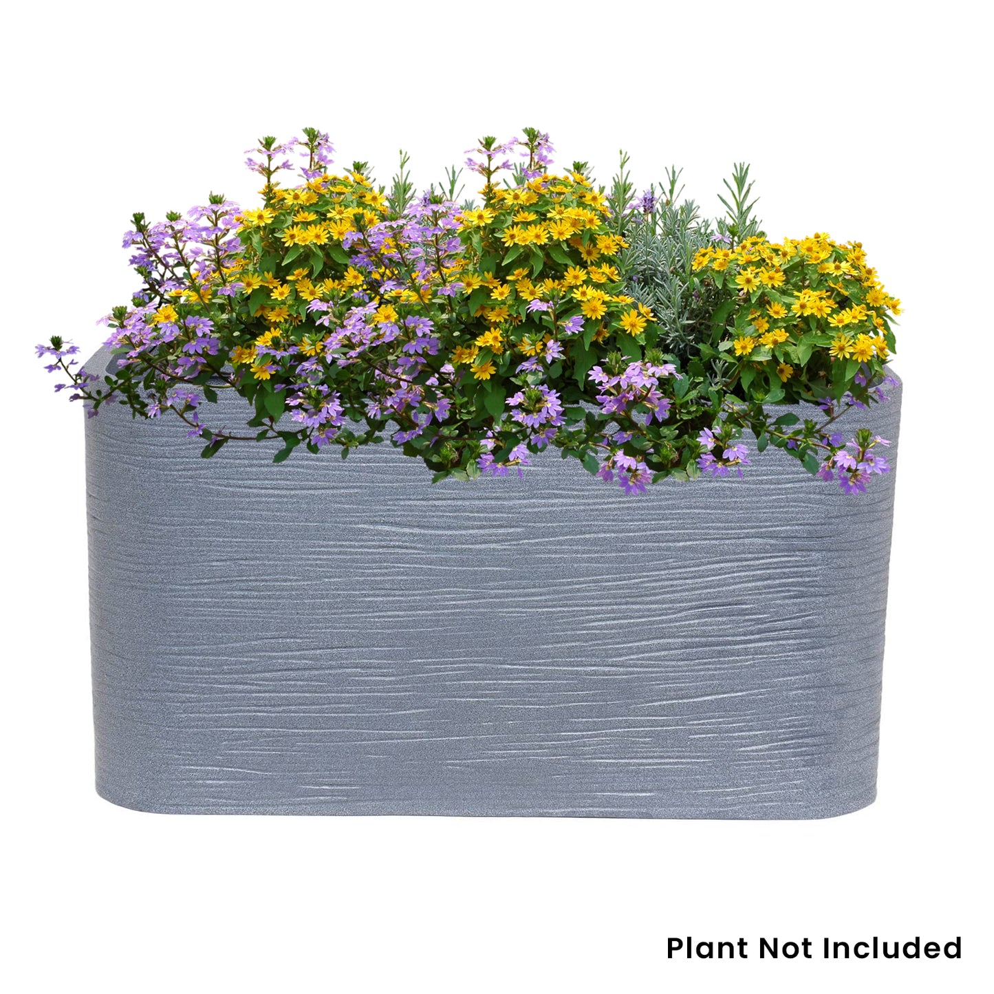 AGC Design Rectangle Pot