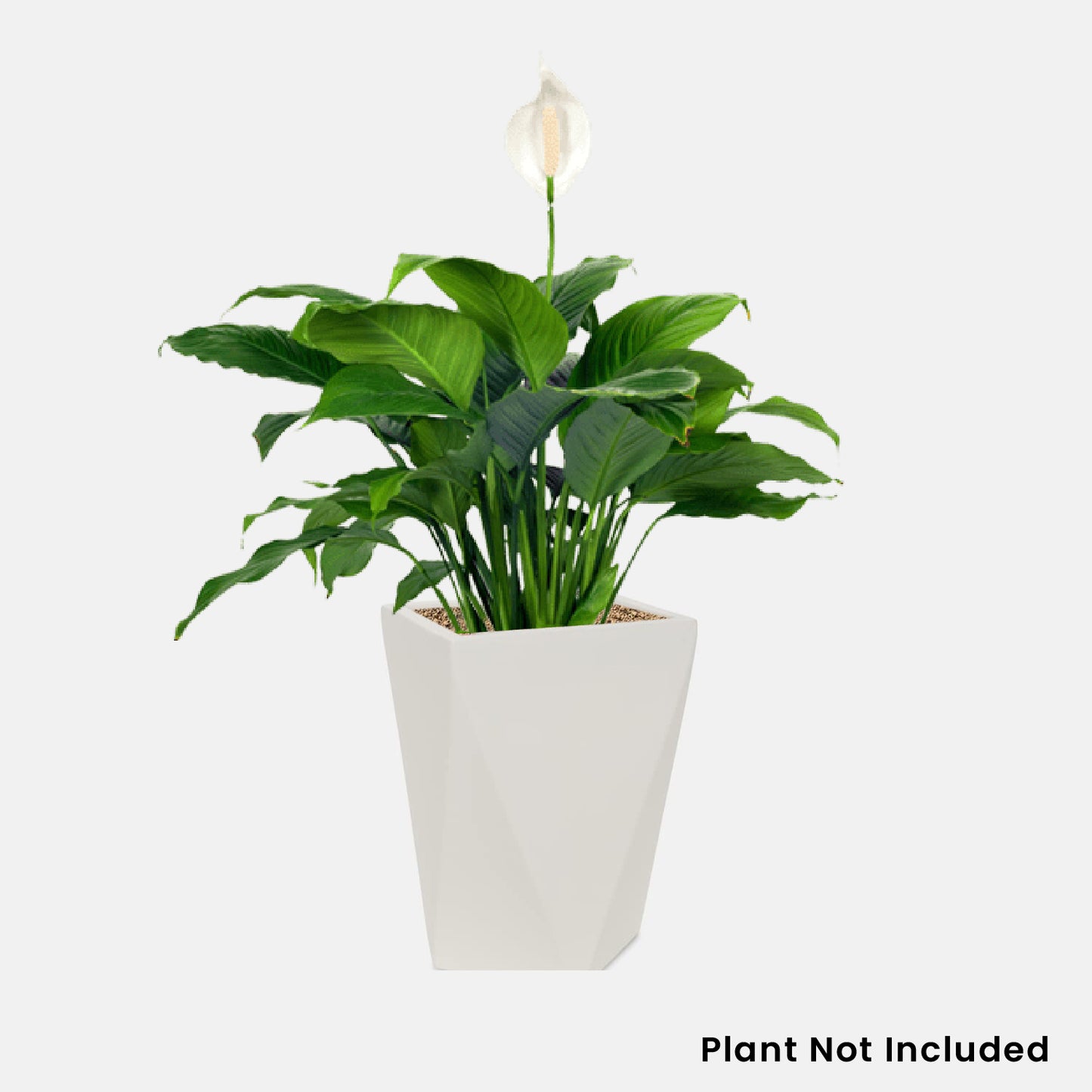AGC Design Cream White 18 Inches Diamond Square Planter