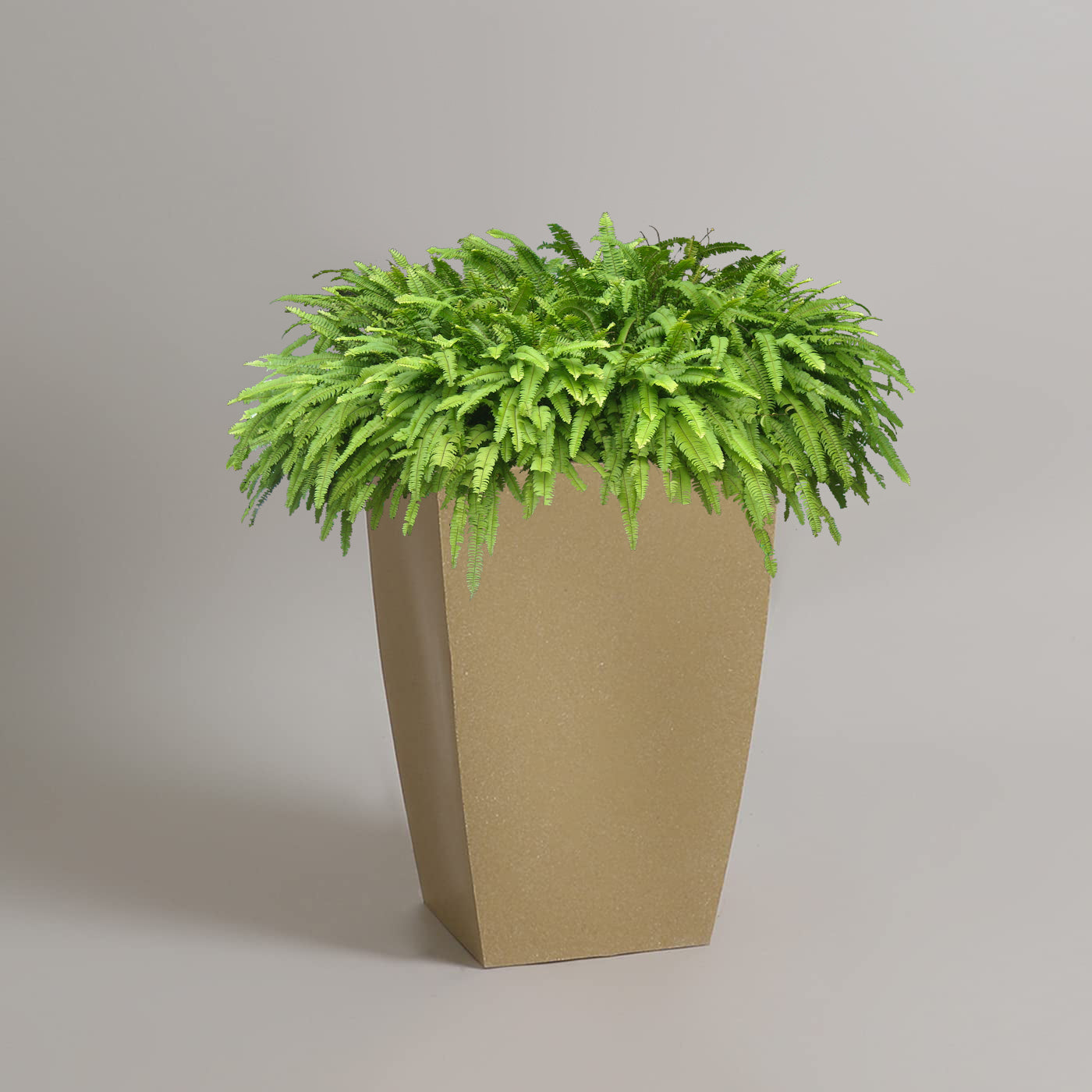 AGC Design Fox B TK Square Tall Planter Suitable for Indoor and Outdoor