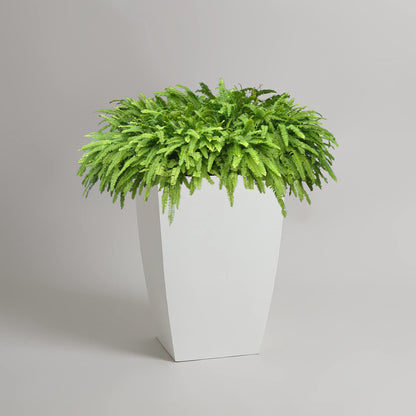 AGC Design Fox B TK Square Tall Planter Suitable for Indoor and Outdoor