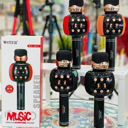 WSTER WS 2911 MIC