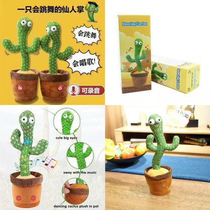 Dancing Cactus Toy