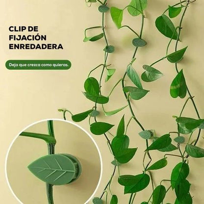 Plant Climbing Clip (Set10)