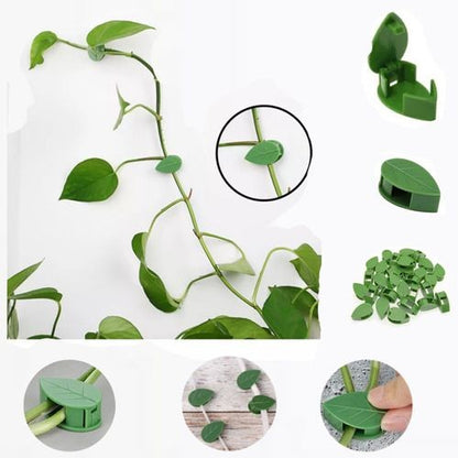 Plant Climbing Clip (Set10)