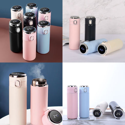 Stainless Steel Temperature Flask Bottle